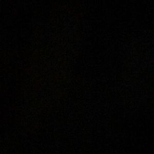 Meet your Posher, Gene